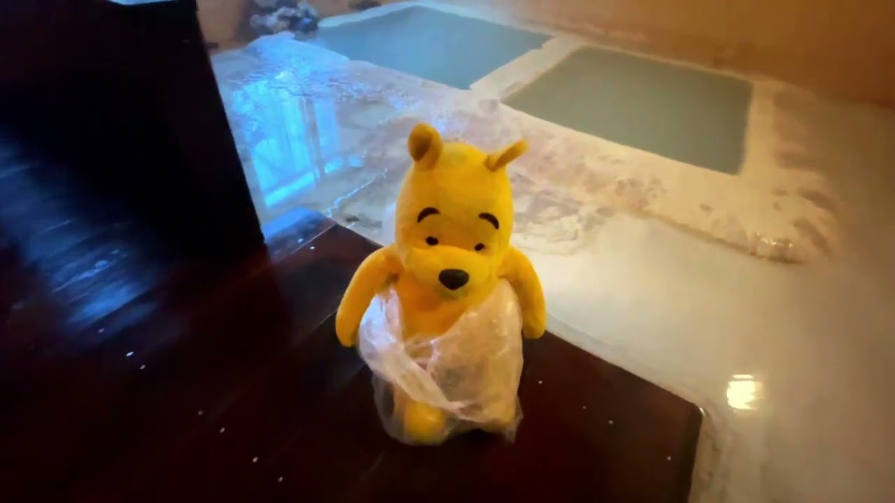 プーさん　長野県松本市　白骨温泉　山水観湯川荘に行ったんだよおおう　その５