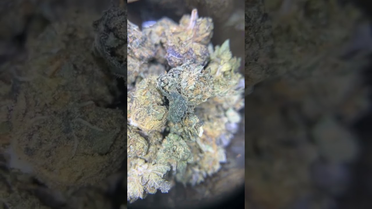 Peanut butter runtz cookies jar close up