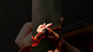 Thalapathi BGM on Violin 🎻 | Emotional Sundari Kannal Cover #Rajinikanth #violinshorts #Ytshorts