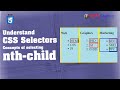 nth Selector CSS Tricks nth child and first-child learn with examples