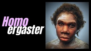 HOMO ERGASTER - African Homo erectus ~ with DR KAREN BAAB
