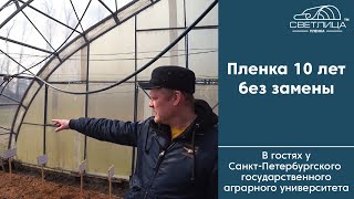 видео: Теплица под пленкой 10 лет без замены | Отзыв кандидата сельскохозяйственных наук о пленке СВЕТЛИЦА™ картинка: Теплица под пленкой 10 лет без замены | Отзыв кандидата сельскохозяйственных наук о пленке СВЕТЛИЦА™
