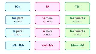 Les pronoms possessifs ton, ta, tes en francais - Die Possessivpronomen ton, ta, tes auf Französisch