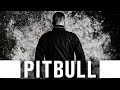 PITBULL EXODUS Official Trailer 2021 Polish Gangster Movie