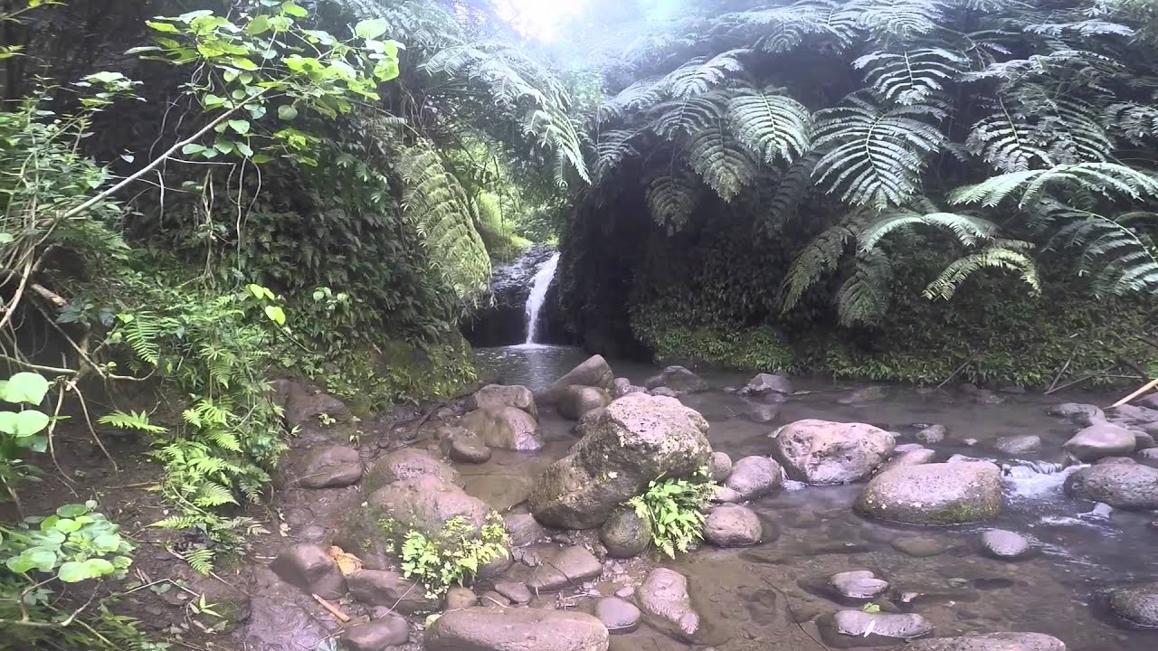 Maunawili Falls Hawaii Waterfall Hike - YouTube