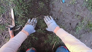 THE WAR ZONE!! Episode 7 Simplex vs Equinox vs Deus