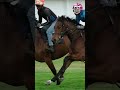 Practice ✅, Ready to Run ✅ Cape Racing Sales on 22 October 2023