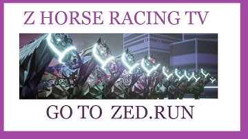 Z HORSE RACING TV EPISODE 5
