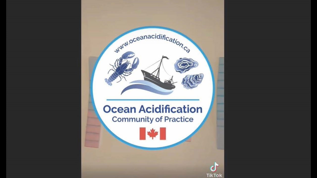 How to Make Homemade pH Test Strips in 5 Easy Steps