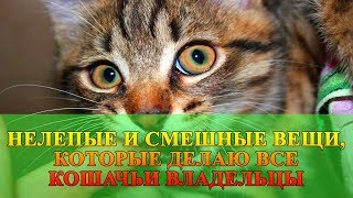 НЕЛЕПЫЕ И СМЕШНЫЕ ВЕЩИ, КОТОРЫЕ ДЕЛАЮ ВСЕ КОШАЧЬИ ВЛАДЕЛЬЦЫ НЕЛЕПЫЕ И СМЕШНЫЕ ВЕЩИ, КОТОРЫЕ ДЕЛАЮ ВСЕ КОШАЧЬИ ВЛАДЕЛЬЦЫ