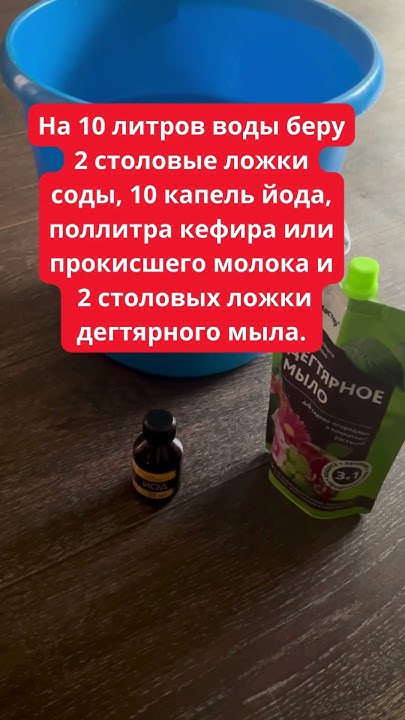 Это Народное Средство 100% Защитит от Тли и Мучнистой Росы Ваш Сад и ...
