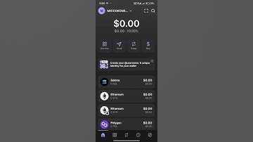 HOW TO CONNECT SOLANA TO PAWS 🐾