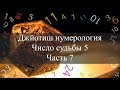 Число судьбы 5. Джйотиш Нумерология ч.7