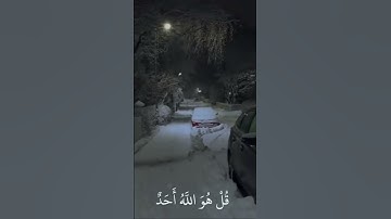 سورة الاخلاص بصوت الشيخ عبد الرحمن مسعد🌏 #اكسبلور #استغفر_الله #قرآن
