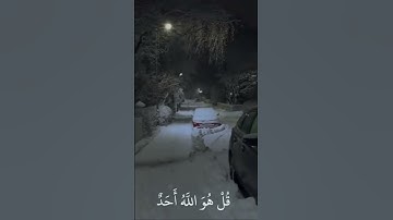سورة الاخلاص بصوت الشيخ عبد الرحمن مسعد🌏 #اكسبلور #استغفر_الله #قرآن