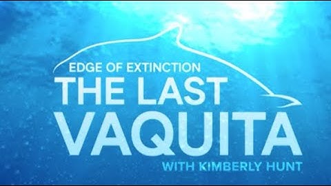 Edge of Extinction: The Last Vaquita -- An ABC 10News Special