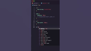 Pseudo Classes Explained - #9 last-child