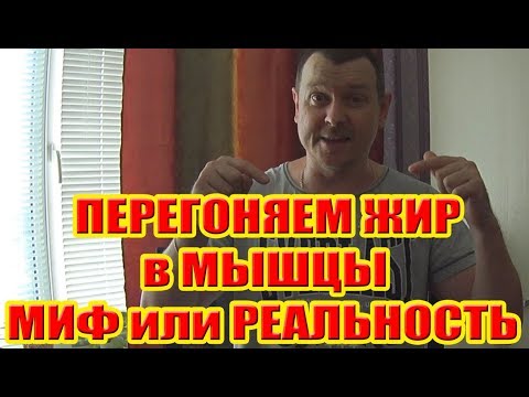 ПЕРЕГОНЯЕМ ЖИР в МЫШЦЫ МИФ или РЕАЛЬНОСТЬ