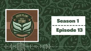 Mid-Year Checkin w/ Brett & Shane | Every Plant Story Podcast | S1E13