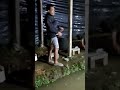 sayang sekali boncos, coba sekali lagi