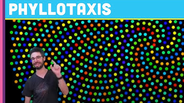 Coding Challenge #30: Phyllotaxis