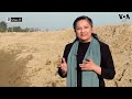 The rare blackbucks of Lal Suhanra that came to Pakistan from the U.S. | VOA Urdu