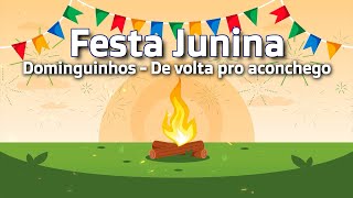 Dominguinhos - De volta pro aconchego (High Quality) [Festa junina]