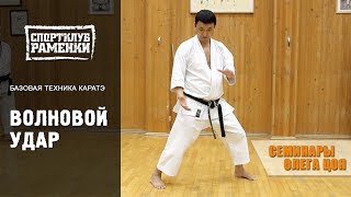 Каратэ Шотокан. Уроки Олега Цоя. Волновой удар Каратэ Шотокан. Уроки Олега Цоя. Волновой удар