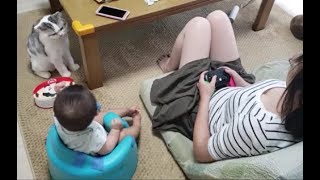 テーブル上のお菓子の存在が気になってる白ボウズ猫もちとら