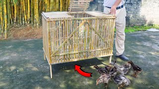 Wow Wow / How to make a beautiful bamboo chicken coop