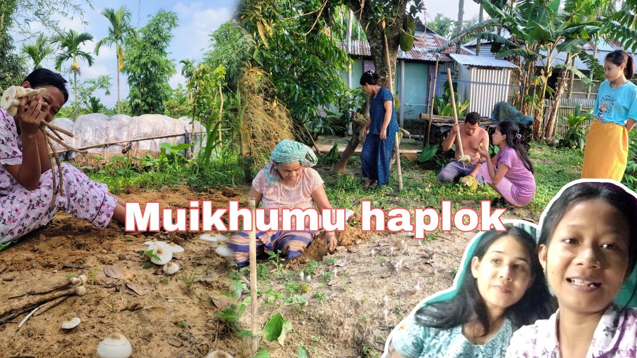 Muikhumu haplok Kwbangma Ohmaa😱 @sampilidebbarmaofficial6363