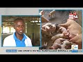 Ono Teyejjusa Kulunda Mbizzi Akulaga Byakola Okuzifunamu Yigaokukola Ono Teyejjusa Kulunda Mbizzi Akulaga Byakola Okuzifunamu Yigaokukola