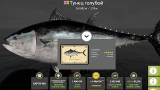 РАЗДАЧА РЕДЧАЙЩИХ ТРОФЕЕВ и ФАРМ СЕРЕБРА! СВОДКА по ВОДОЁМАМ за 16.10 в Русской Рыбалке 4! РР4