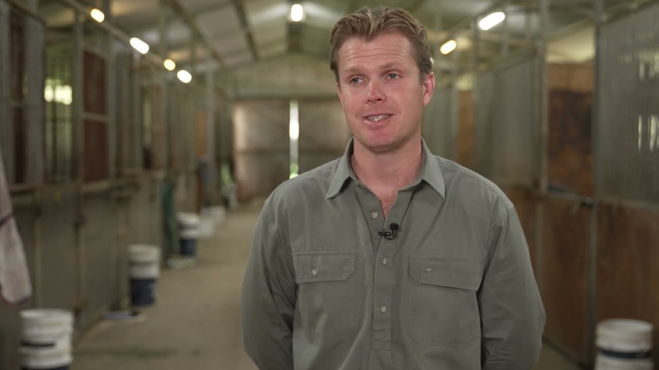 Ones To Watch: Duais