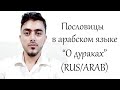 Поговорки на арабском. О дураках (Rus)