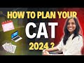 How to plan your cat 2024  things to consider before starting preparation