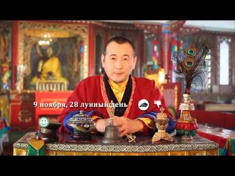 Зурхай 9 ноября