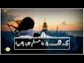 Best Saraiki Whatsapp status |Dil kithay kharya e bholya| saraiki song 2019 Mp3 Song