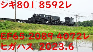 EF210 125 シキ801 8592レ EF65 2089 4072レ 2023.6.18