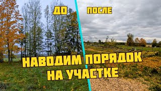 видео: Дробим ветки, валим деревья - расчищаем участок картинка: Дробим ветки, валим деревья - расчищаем участок