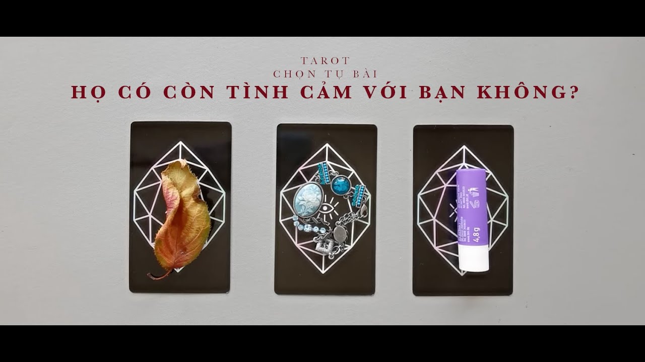 tarot: chọn tụ bài: họ có còn tình cảm với bạn không?