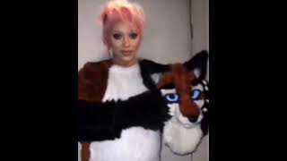 Stan Twitter Doja Cat Wearing A Fursuit While Animal Jam Music Is Playing