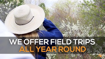 Guided Birding Trips!