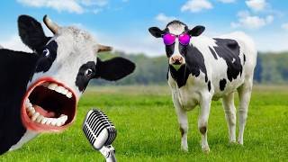 FUNNY COW TALK Episode 1│Cow Videos 2024 | Cow | moo