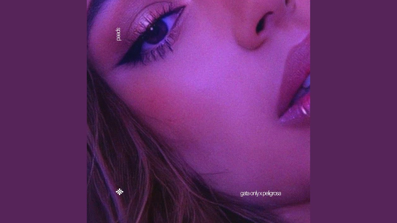 gata only x peligrosa (sped up)