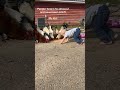 Boy Eats Food with Chickens