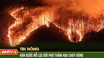 Hàn Quốc chật vật đối phó đám cháy rừng nghiêm trọng nhất từ trước đến nay | ANTV