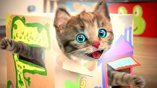 Funny cats Cute Little Kitten Adventure - Best Education learning video for Toddlers and Kids by LITTLE KITTEN FRIENDS 12,523 views 1 month ago 21 minutes