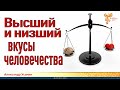 Высший и низший вкусы человечества