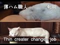 ポテチ動画、終わります。そして、新しい家族を紹介します Potechi series finished. I introduce a new family.